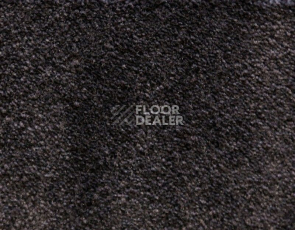 Ковролин Radici Lord Antracite 142C фото 1 | FLOORDEALER
